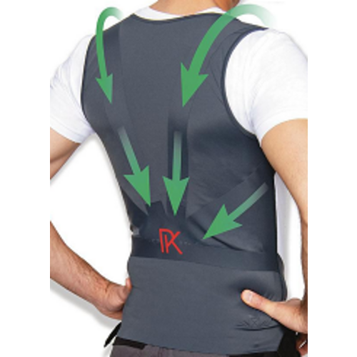 GILET PERCKO LYNE PRO HOMME PROTECTION DU DOS REF.X03-007834