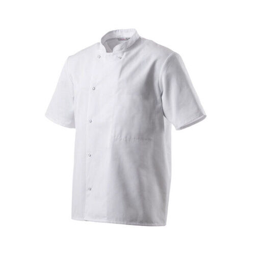 VESTE DE CUISINE  INOX PC MANCHES COURTES